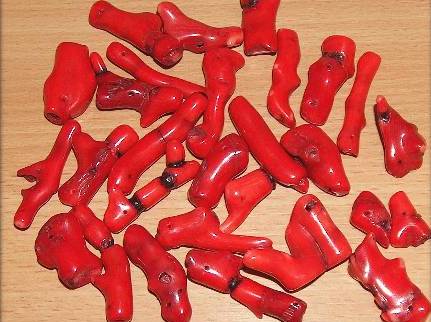 Healing Coral polished